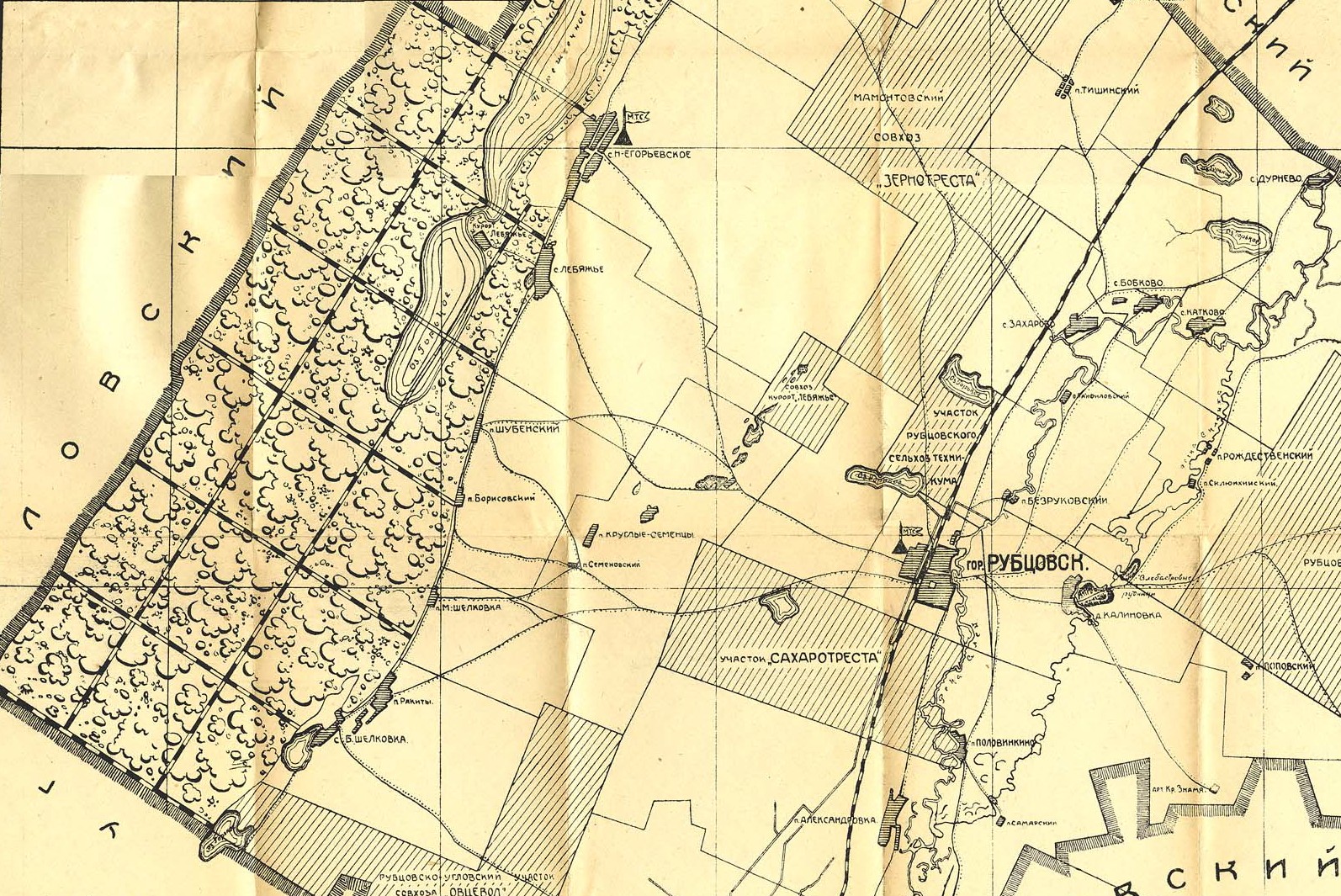 Спутниковая карта рубцовского района